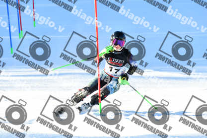 PER ACQUISTARE I FILE