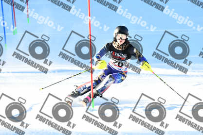 PER ACQUISTARE I FILE