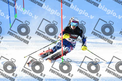 PER ACQUISTARE I FILE