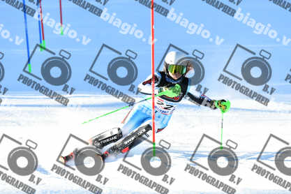 PER ACQUISTARE I FILE