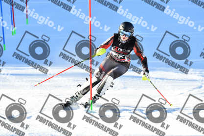 PER ACQUISTARE I FILE