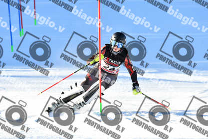 PER ACQUISTARE I FILE