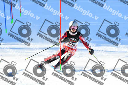 PER ACQUISTARE I FILE