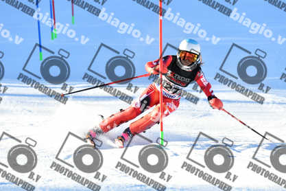 PER ACQUISTARE I FILE