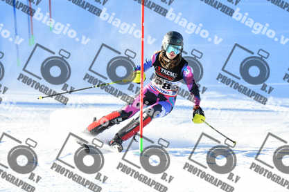 PER ACQUISTARE I FILE