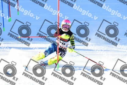 PER ACQUISTARE I FILE