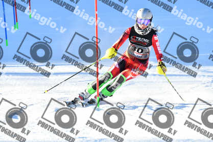 PER ACQUISTARE I FILE