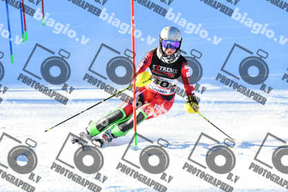 PER ACQUISTARE I FILE