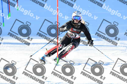 PER ACQUISTARE I FILE