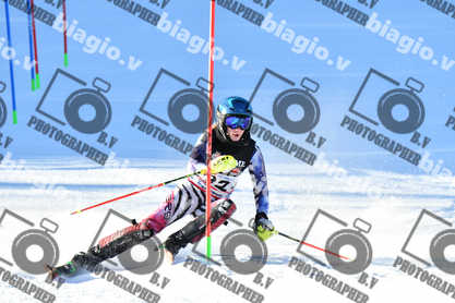 PER ACQUISTARE I FILE