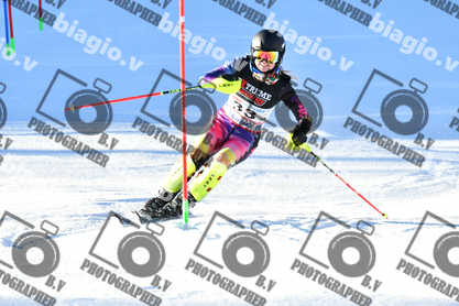 PER ACQUISTARE I FILE