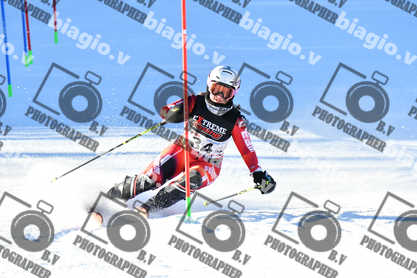 PER ACQUISTARE I FILE