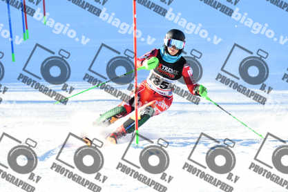 PER ACQUISTARE I FILE