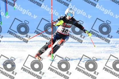 PER ACQUISTARE I FILE