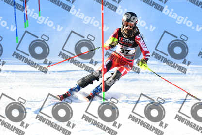 PER ACQUISTARE I FILE