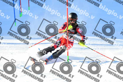 PER ACQUISTARE I FILE