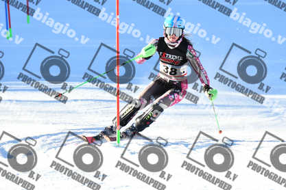 PER ACQUISTARE I FILE