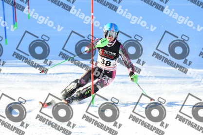 PER ACQUISTARE I FILE