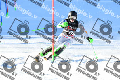 PER ACQUISTARE I FILE