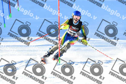 PER ACQUISTARE I FILE