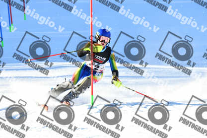 PER ACQUISTARE I FILE