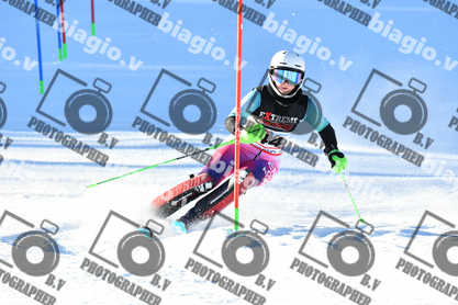 PER ACQUISTARE I FILE