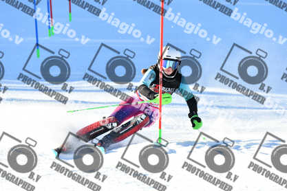 PER ACQUISTARE I FILE