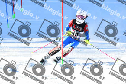 PER ACQUISTARE I FILE