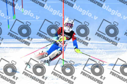 PER ACQUISTARE I FILE