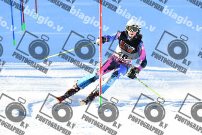 PER ACQUISTARE I FILE