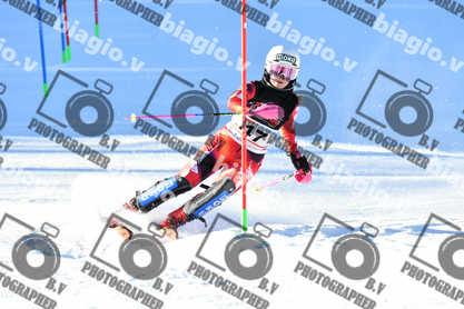 PER ACQUISTARE I FILE