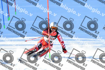 PER ACQUISTARE I FILE