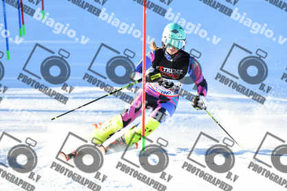 PER ACQUISTARE I FILE