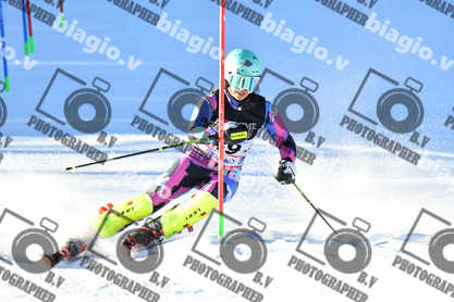 PER ACQUISTARE I FILE