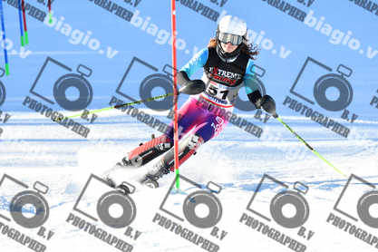 PER ACQUISTARE I FILE