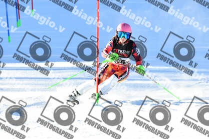 PER ACQUISTARE I FILE