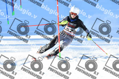 PER ACQUISTARE I FILE