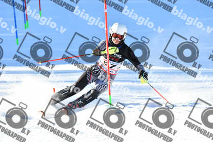 PER ACQUISTARE I FILE