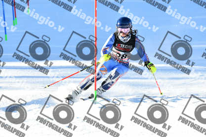 PER ACQUISTARE I FILE