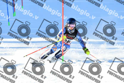 PER ACQUISTARE I FILE