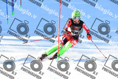 PER ACQUISTARE I FILE