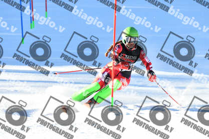 PER ACQUISTARE I FILE