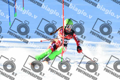 PER ACQUISTARE I FILE