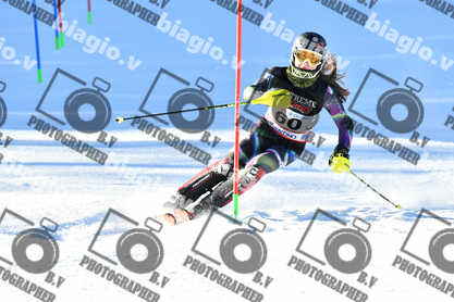 PER ACQUISTARE I FILE