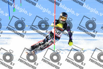 PER ACQUISTARE I FILE