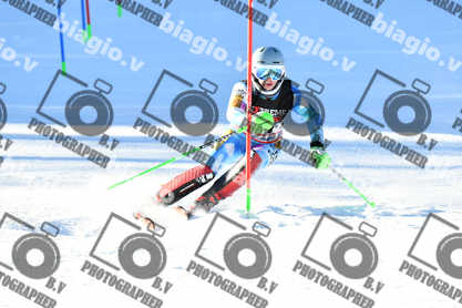 PER ACQUISTARE I FILE