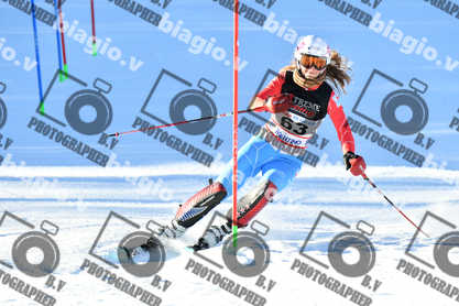 PER ACQUISTARE I FILE