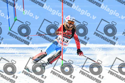 PER ACQUISTARE I FILE