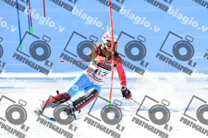 PER ACQUISTARE I FILE