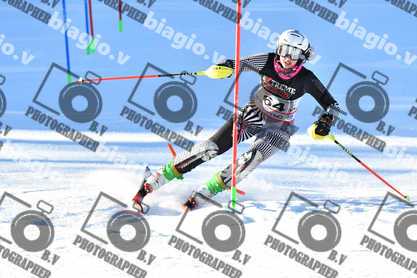 PER ACQUISTARE I FILE